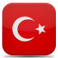 Google Translation: Turkish for v4