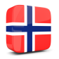 Bing AI Translation: Norwegian