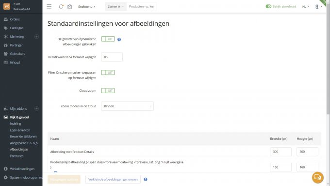 Bing AI Translation: Dutch