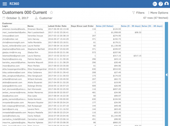 All Ri360 reports are set-up to resemble excel docs for easy viewing