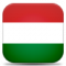 Google Translation: Hungarian for v4