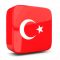 Bing AI Translation: Turkish