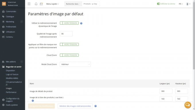 Bing AI Translation: French